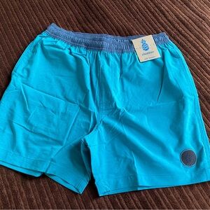 Chubbies Aqua Men's 5.5 Inch Hybrid Swim/Gym Shorts